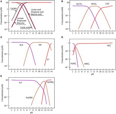 pH as a Primary Control in Environmental Microbiology: 1. Thermodynamic Perspective